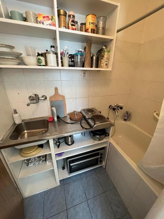 פראג Apartment Lublanska 48 מראה חיצוני תמונה